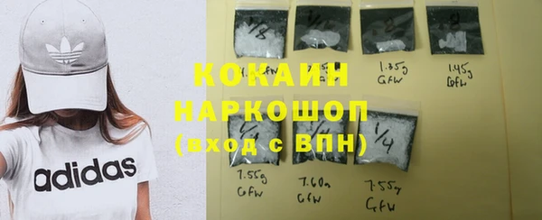 гидра Волоколамск