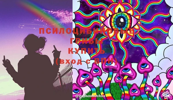 гидра Волоколамск