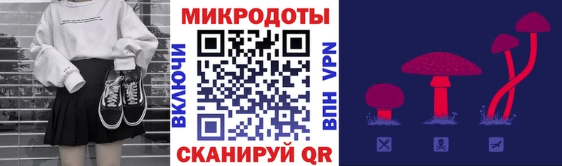 Купить закладки  Струнино  Псилоцибиновые грибы Psilocybe 